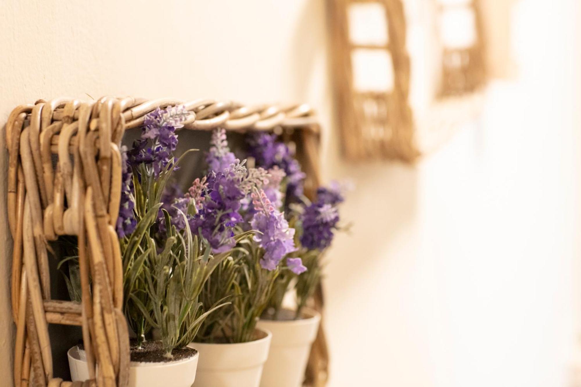 Guest House Nonna Rosa Vercelli Ngoại thất bức ảnh